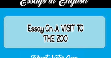 Essay On A VISIT TO THE ZOO