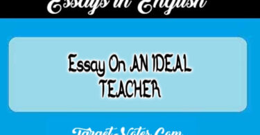 Essay On AN IDEAL TEACHER