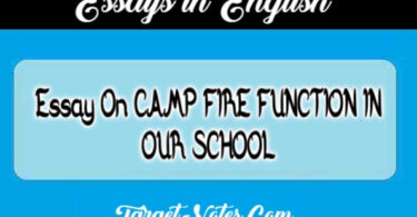 Essay On CAMP FIRE FUNCTION IN OUR SCHOOL