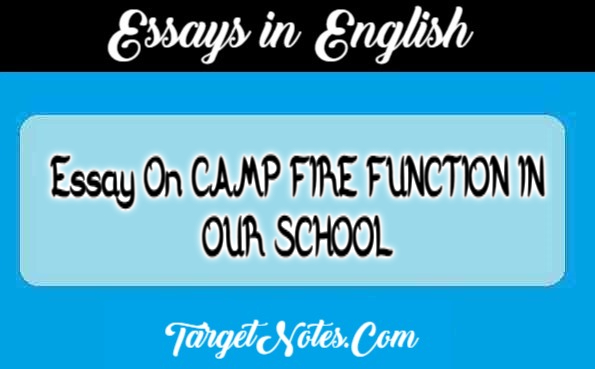 Essay On CAMP FIRE FUNCTION IN OUR SCHOOL