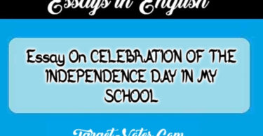 Essay On CELEBRATION OF THE INDEPENDENCE DAY IN MY SCHOOL