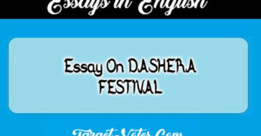 Essay On DASHERA FESTIVAL