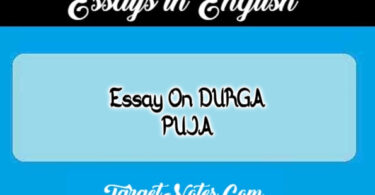 Essay On DURGA PUJA
