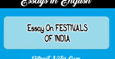 Essay On FESTIVALS OF INDIA