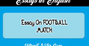 Essay On FOOTBALL MATCH