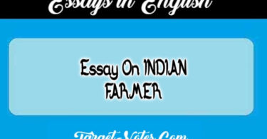 Essay On INDIAN FARMER