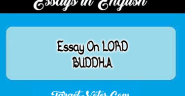 Essay On LORD BUDDHA