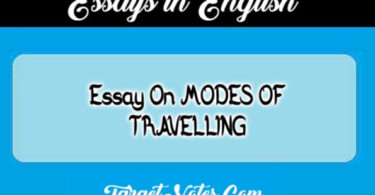 Essay On MODES OF TRAVELLING