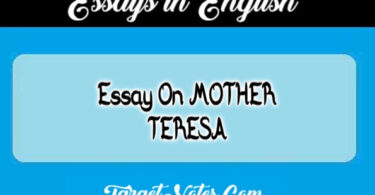 Essay On MOTHER TERESA