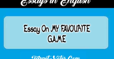 Essay On MY FAVOURITE GAME