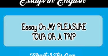 Essay On MY PLEASURE TOUR OR A TRIP
