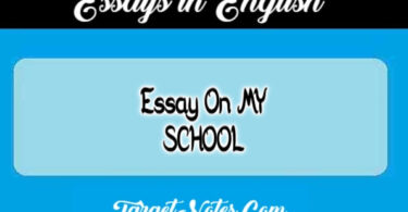 Essay On MY SCHOOL