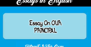 Essay On OUR PRINCIPAL