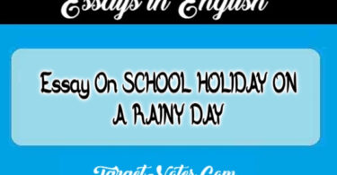 Essay On SCHOOL HOLIDAY ON A RAINY DAY