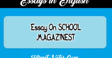 Essay On SCHOOL MAGAZINEST