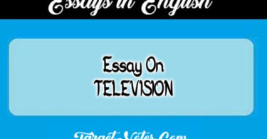 Essay On TELEVISION