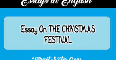 Essay On THE CHRISTMAS FESTIVAL