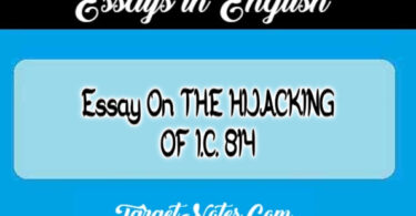 Essay On THE HIJACKING OF I.C. 814