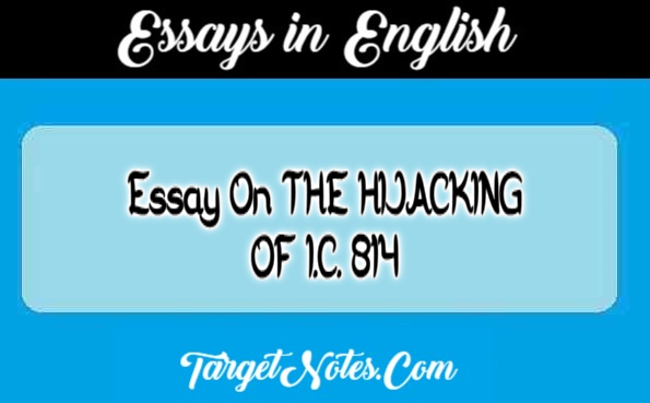 Essay On THE HIJACKING OF I.C. 814