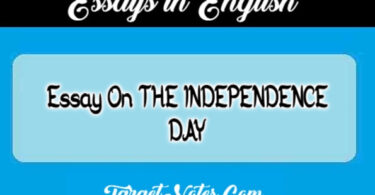 Essay On THE INDEPENDENCE DAY