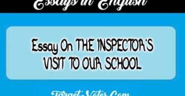 Essay On THE INSPECTOR'S VISIT TO OUR SCHOOL