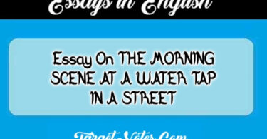 Essay On THE MORNING SCENE AT A WATER TAP IN A STREET