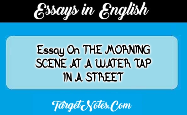 Essay On THE MORNING SCENE AT A WATER TAP IN A STREET