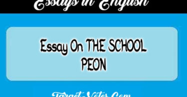 Essay On THE SCHOOL PEON