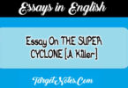 Essay On THE SUPER CYCLONE (A Killer)