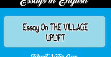 Essay On THE VILLAGE UPLIFT