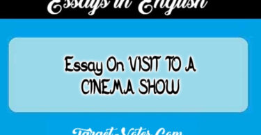 Essay On VISIT TO A CINEMA SHOW