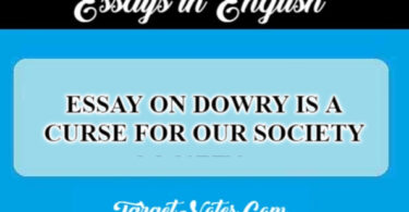 ESSAY ON DOWRY IS A CURSE FOR OUR SOCIETY