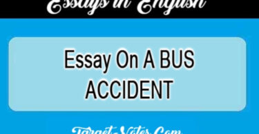 Essay On A BUS ACCIDENT
