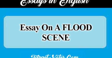 Essay On A FLOOD SCENE
