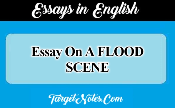 Essay On A FLOOD SCENE