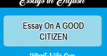 Essay On A GOOD CITIZEN