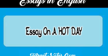 Essay On A HOT DAY