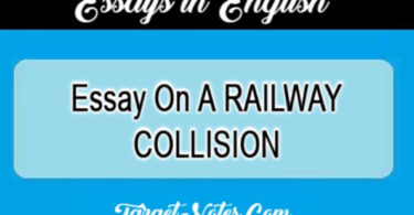 Essay On A RAILWAY COLLISION