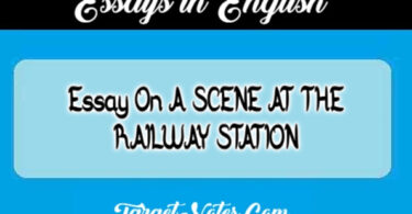 Essay On A SCENE AT THE RAILWAY STATION