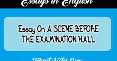 Essay On A SCENE BEFORE THE EXAMINATION HALL