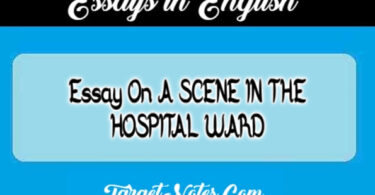 Essay On A SCENE IN THE HOSPITAL WARD