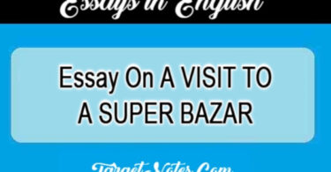 Essay On A VISIT TO A SUPER BAZAR