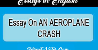Essay On AN AEROPLANE CRASH