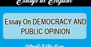 Essay On DEMOCRACY AND PUBLIC OPINION