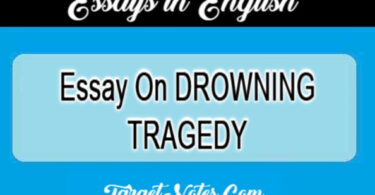 Essay On DROWNING TRAGEDY