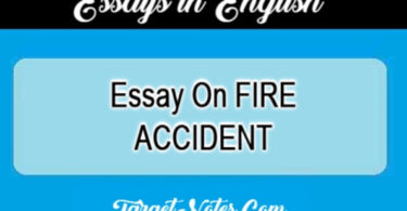 Essay On FIRE ACCIDENT