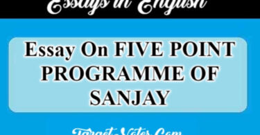 Essay On FIVE POINT PROGRAMME OF SANJAY