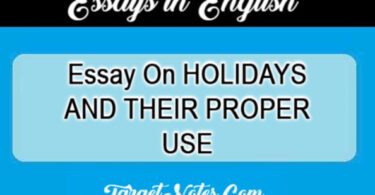 Essay On HOLIDAYS AND THEIR PROPER USE