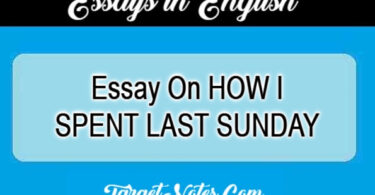 Essay On HOW I SPENT LAST SUNDAY