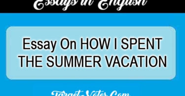 Essay On HOW I SPENT THE SUMMER VACATION